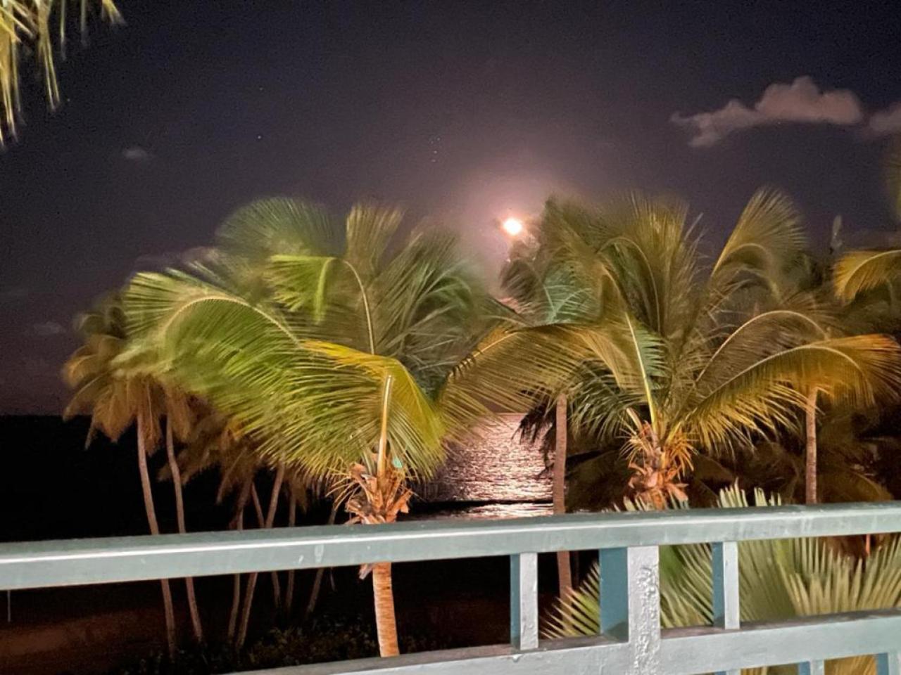 Beachfront Luxury 2 Bedroom At Wyndham Rio Mar, Pr Luquillo Exterior photo