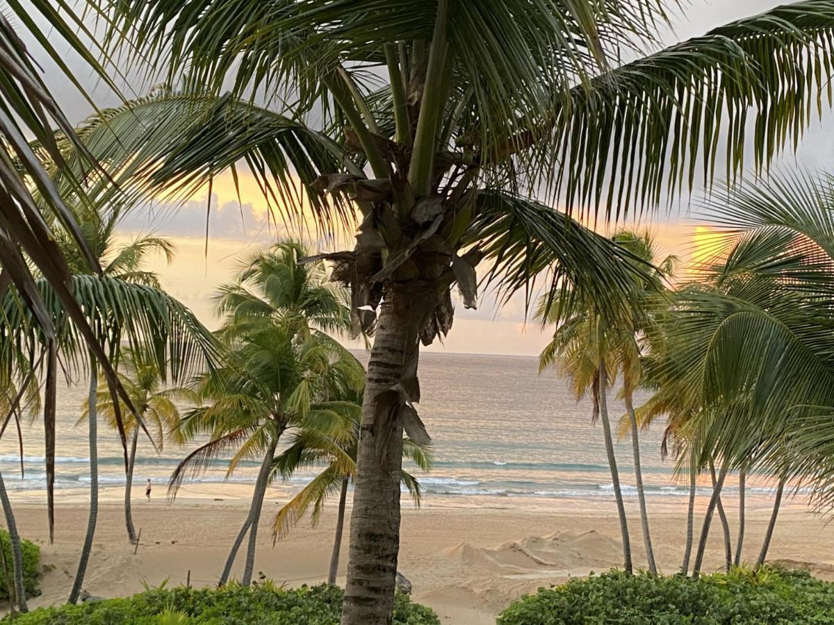 Beachfront Luxury 2 Bedroom At Wyndham Rio Mar, Pr Luquillo Exterior photo
